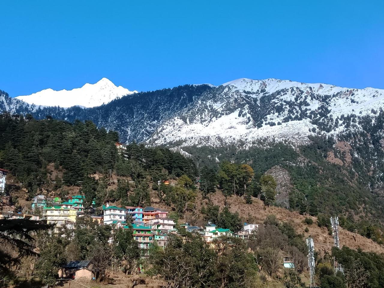 Hotel Pine Spring Dharamsala Exteriér fotografie