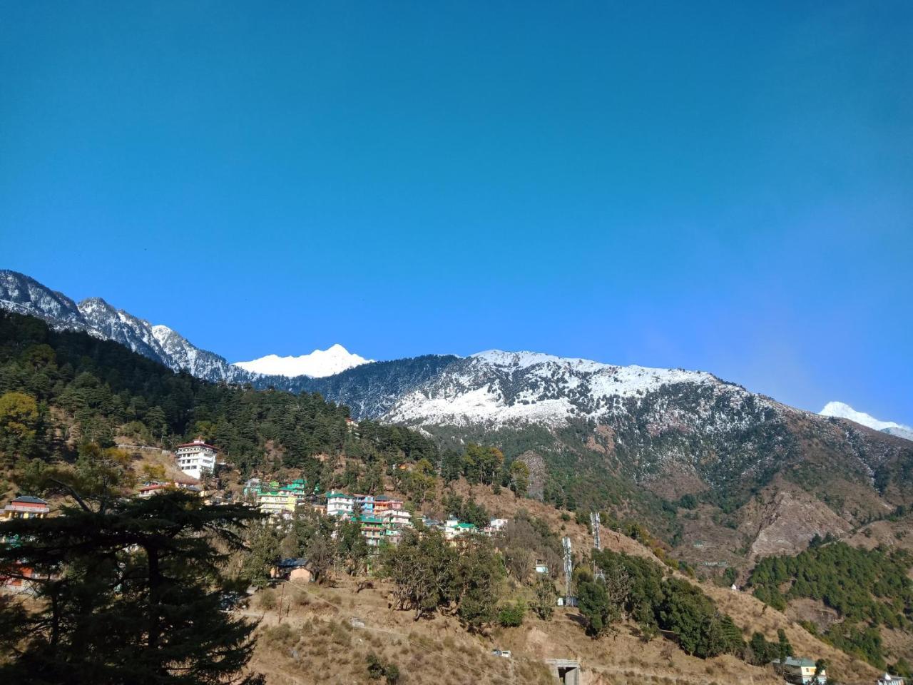 Hotel Pine Spring Dharamsala Exteriér fotografie