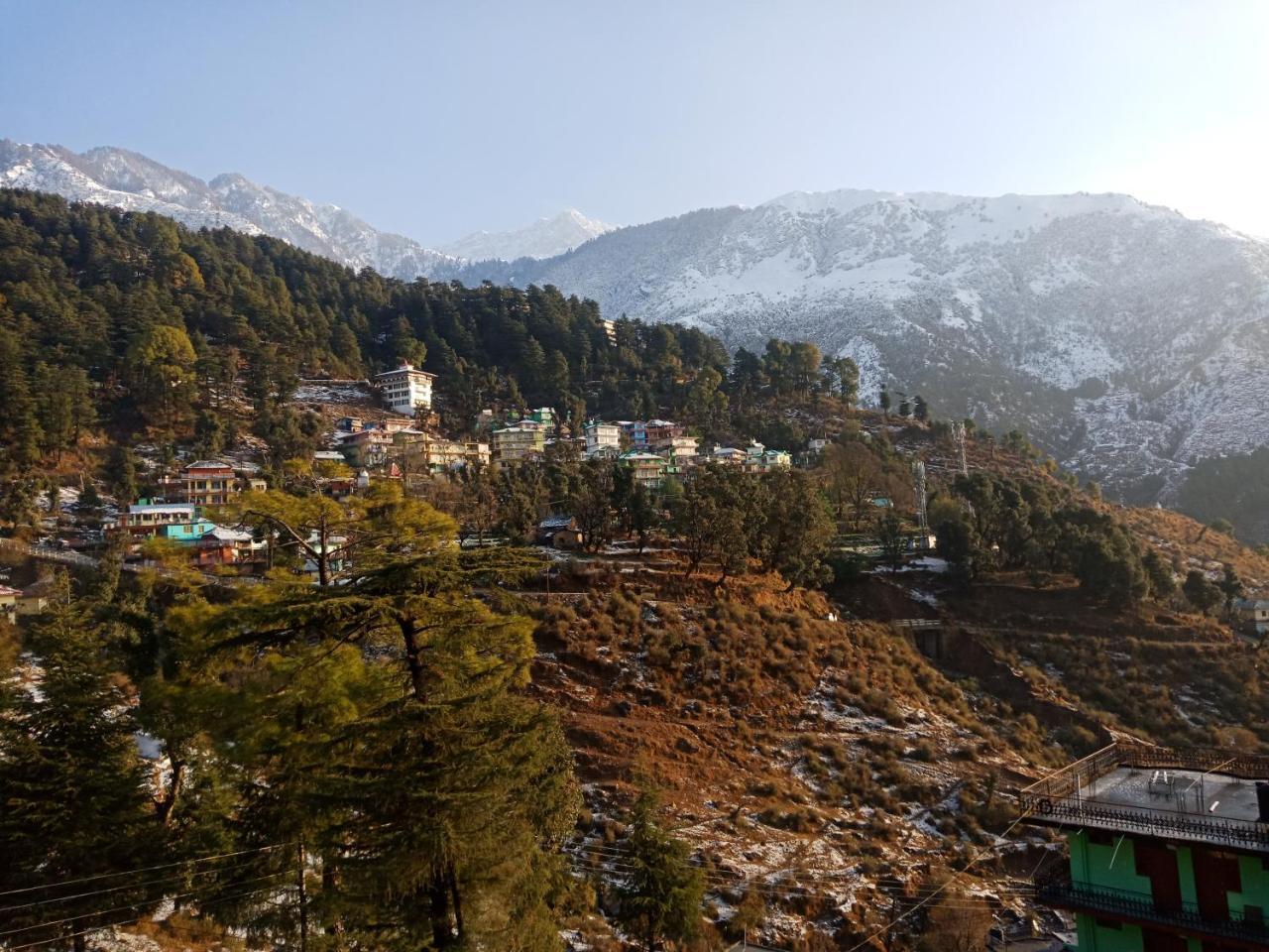 Hotel Pine Spring Dharamsala Exteriér fotografie