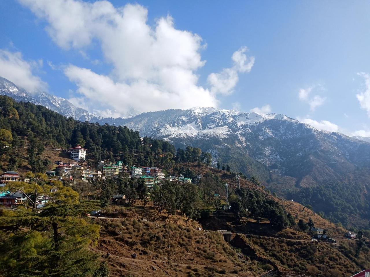 Hotel Pine Spring Dharamsala Exteriér fotografie