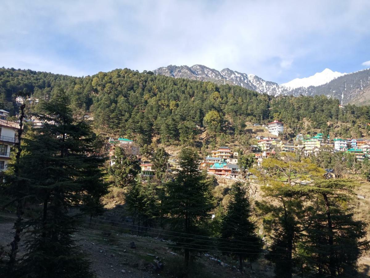Hotel Pine Spring Dharamsala Exteriér fotografie
