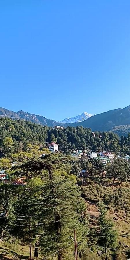 Hotel Pine Spring Dharamsala Exteriér fotografie